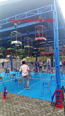 Pasukan Gela Gelo Kenari gak mau Kalah.. Luar biasa di Gelaran Piala Camat Mijen #OwekBasengOrganizer #AJIS #kicaumaniaindonesia #sobatkicau #hobyburung #kenari #kenarimaniaindonesia #kenarimania #fyp 