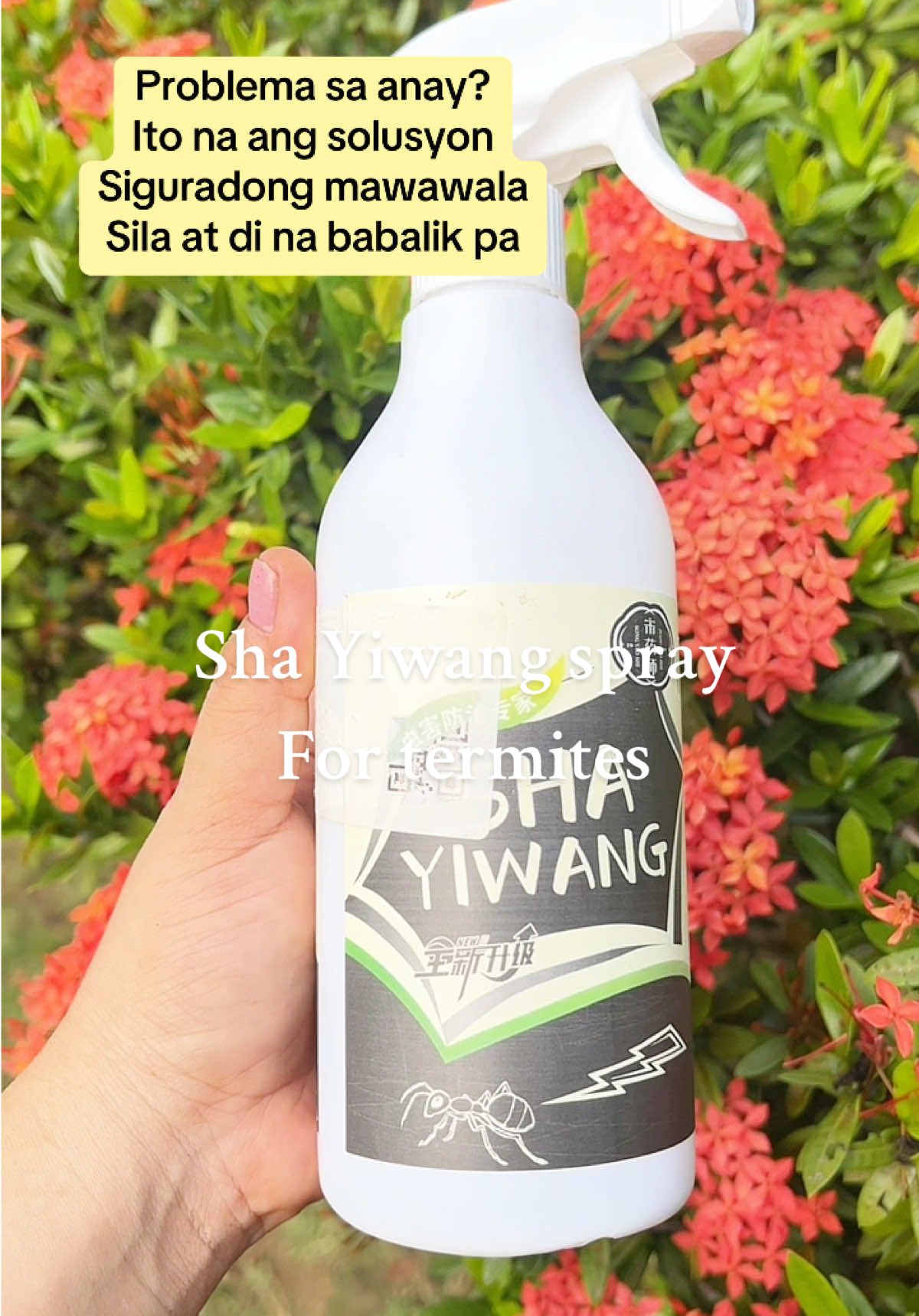 #termitespray #termiteskillerspray 