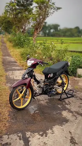 trondol asik🤙🏻 #fyp #4u #vegazrmodifikasi #vegazr130 #5d9gank🚀 #5d9menolakpunah 