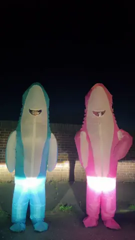 My hips are shaking from left to right 💃🏼💃🏼 #shakeit #gotmegood #shake #shark #dance #fyp #dancetrend #bestfriend 