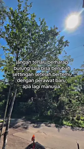 🫣#jamtrok #cucakijomania #muraibatu #muraibatuindonesia #muraibatu #storyburung #sadstory #sadvibes🥀 #kicaumania #kicaumaniaindonesia 