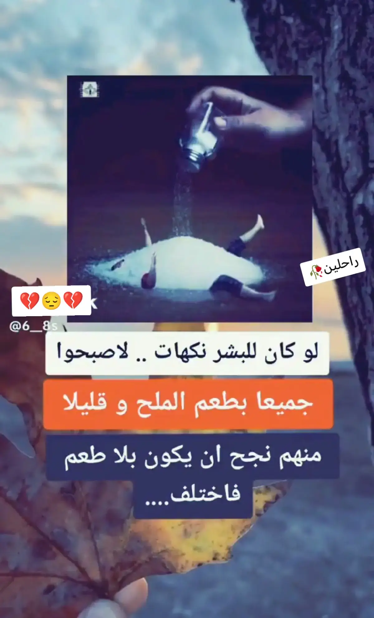 #الحايت #ابصط#مما #تكابر #تصميم_فيديوهات🎶🎤🎬 