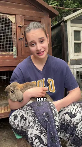 😅😆 #deutschland #slowakei #bunny 