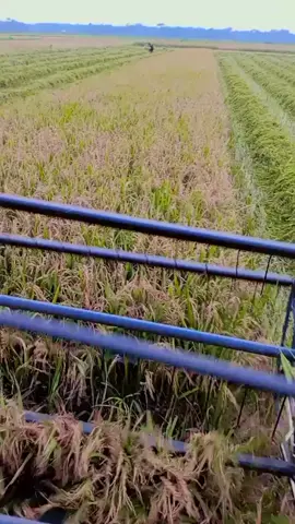 #🙏🥰ঠিক আসলেই তাই#🤔আমি খারাপ ছিলাম তাই তো এমন করলে#এক সময় খুজবা আমাই আর পাবে না ফিরে হারিয়ে যাবো অনেক দূরে🤣#