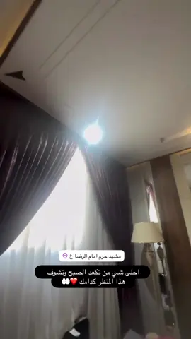 احلى شي #مشهد #حرم_امام_رضا #مشهد_حلم_كلمن_يحب_يامؤنس #عباس_العامري #مشهدات_تيك_توك #العراق #اكسبلورexplore #اكسبلور #بغداد_العراق #بغداد #مشهير_تيك_توك 