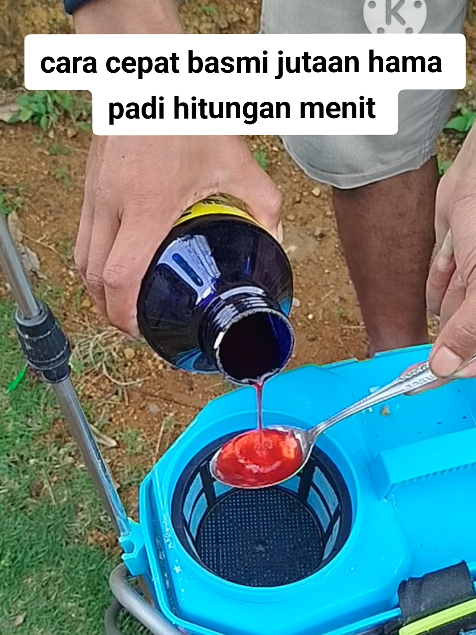 cara cepat basmi jutaan hama hitungan menit#insektisida#limpo #limpogold #pembasmihama 