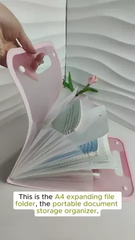 A4 Expanding File Folder#folder #expandingfolder #fileorganizer