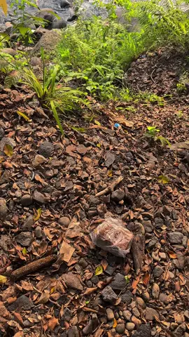 “keadaan punya keinginan,tapi semesta punya kenyataan🍃💦 #fyp #sungai #viralvideo #vibe #sejuk #alam #keindahanalam #aesthetic #pemandangan #bismillahfyp #pekalonganhits #pemalang24jam 