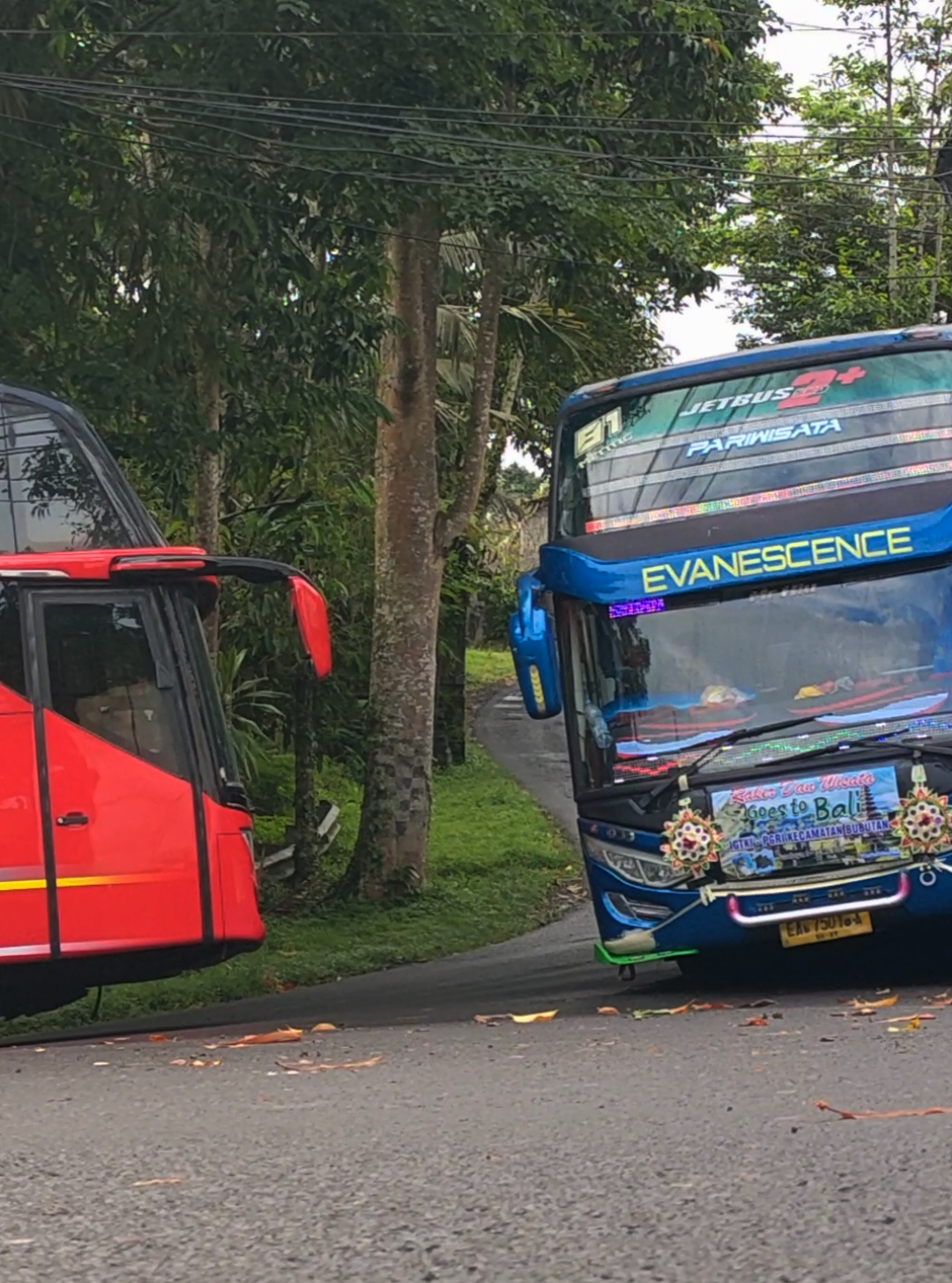 Replying to @udin03170  hampir cipokan🫣🫣😁 • • #tiaramas #tiaramasbus #syifaputra #syifaputrabus #wisata #panglipuran #penglipuran #fypシ゚ #fyp #jetbus3 #jetbus2 #jb2 #jb5 #jb3 #hinork260 #hinork8 #hinorm280abs #adiputrokaroseri 