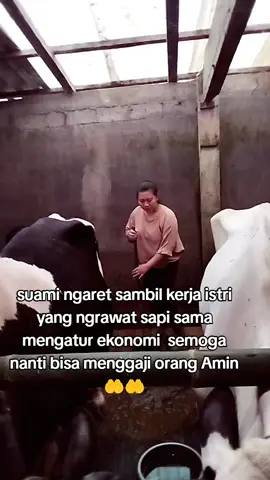 jika ingin sukses kita harus siap berproses  #peternakmuda #tukangngaret #fypシ゚ #sobatngaret 