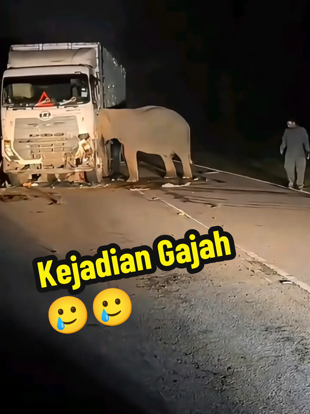 Respond kejadian baru² ini mengenai anak gajah yang dilanggar. Bagaimana jika A.I boleh mengubah keadaan. #BenzyProductions #AI #gajahviral 