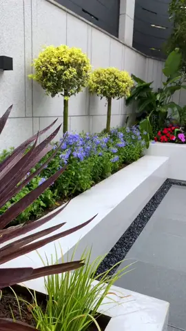 Phần 92: hoàn thiện sân vườn nhỏ xinh cho a zai hà nội. #gardendesign #sanvuon #xuhuong #cay #phongthuy #hot #daco 