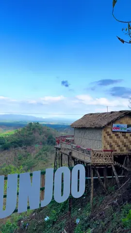 Mirinja valley,Bandarban🌲⛰️#foryou #bdtiktokofficial #viral 