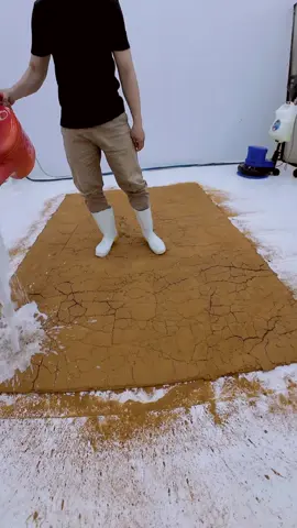 #cleaning #rugcleaning #rugwashing #satisfying #asmr 