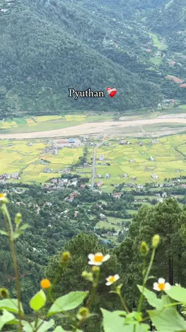 Ramri timi 🌸 jhai#fy #terding #fypage #foryoupage #nature #pyuthan #pyuthanimuser #Rk 