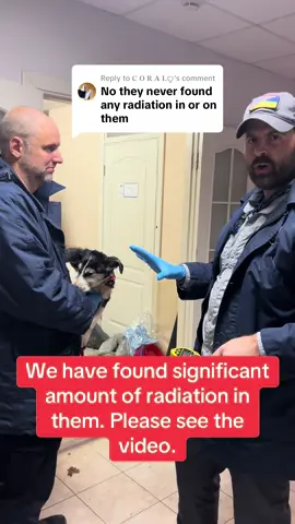 Replying to @𝐂 𝐎 𝐑 𝐀 𝐋ꨄ #Chernobyl #dogs #radiation #puppy #foryoupage #taylorswift 