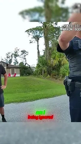 I was moving the lawn and was almost arrested by the police