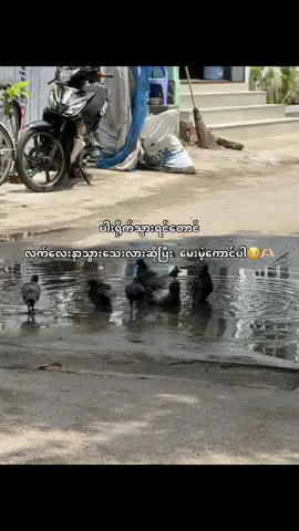 တကယ်”#fyp #crdtext #foryou #fypシ゚ #💔 #fyppppppppppppppppppppppp 