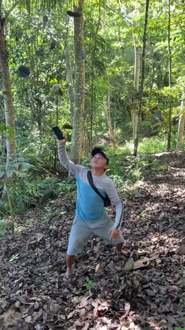 Nature Falling leaves 🍃 Cinematic video editing  #mobilevediography #mobileediting