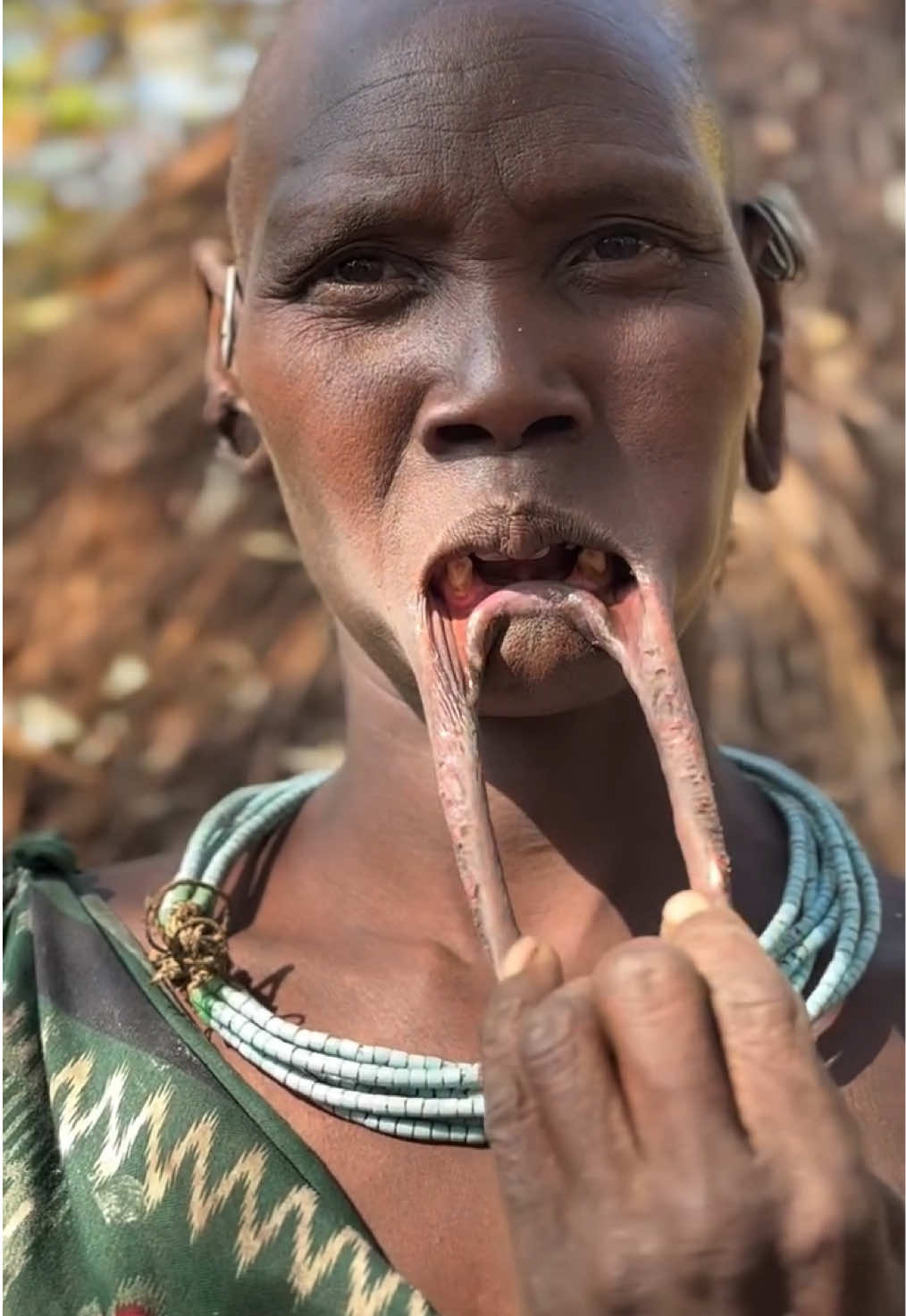 Mursi tribe women wear lip plates primarily as a cultural expression of beauty, identity and social status. #mursitribe #liplates #tribesculture #omovalleyethiopia #tradionallife #lowerlipplates #omovalleyethiopia #bonahamer #viralvideos #videoviral #pfy 