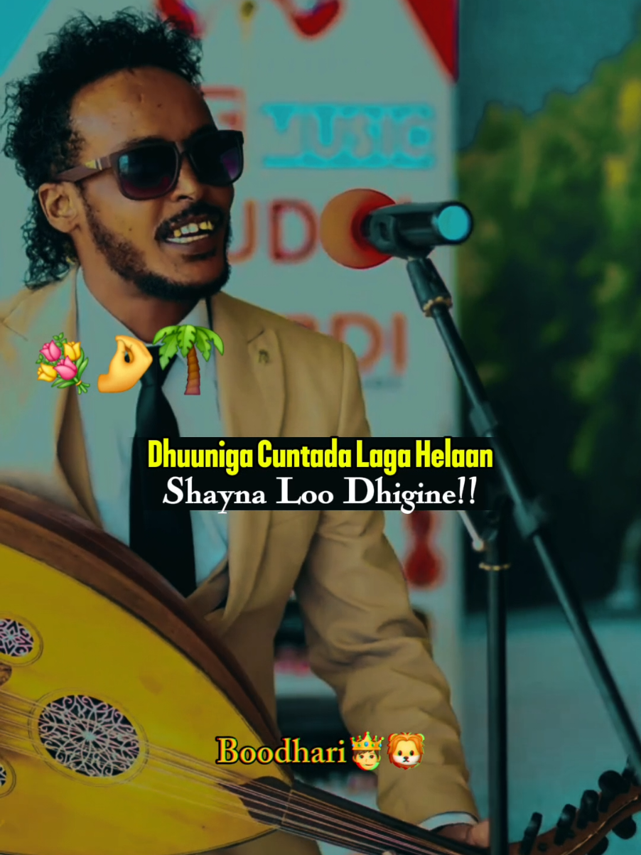 #dhulkahooyo🌴❤️ #somalisong #daauudxanfar #somalimusic #fyp #boodhari 