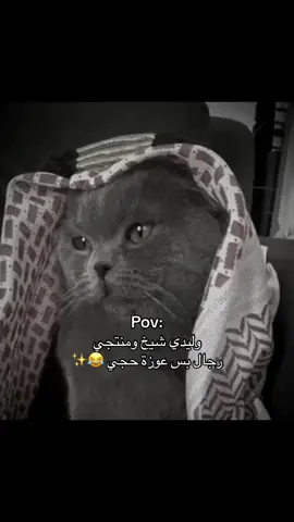 #وليدي_شيخ_ومنتجي_رجال_بس_عوزة_حجي #سلڤر #ماشاءالله #🧿 #silver #اذكروا_الله #مالي_خلق_احط_هاشتاقات #الشعب_الصيني_ماله_حل😂😂 #قطتي #سلڤوري 
