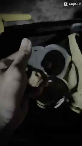 Ngày lên trường buồng con đây đau đớn #ca #cah #xuhuong #tiktok #cscd #trai #giam #tu #toi #thuduc #buon #k2 #k3 #pc 