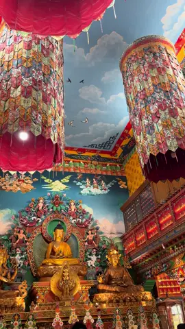 Happy Buddha jayanti  (May Lord Buddha guide us towards new phase of happiness, contentment,good health and tranquility) #fyp #ramghat #ramghatgumba #buddha #buddhajayanti #foryou 