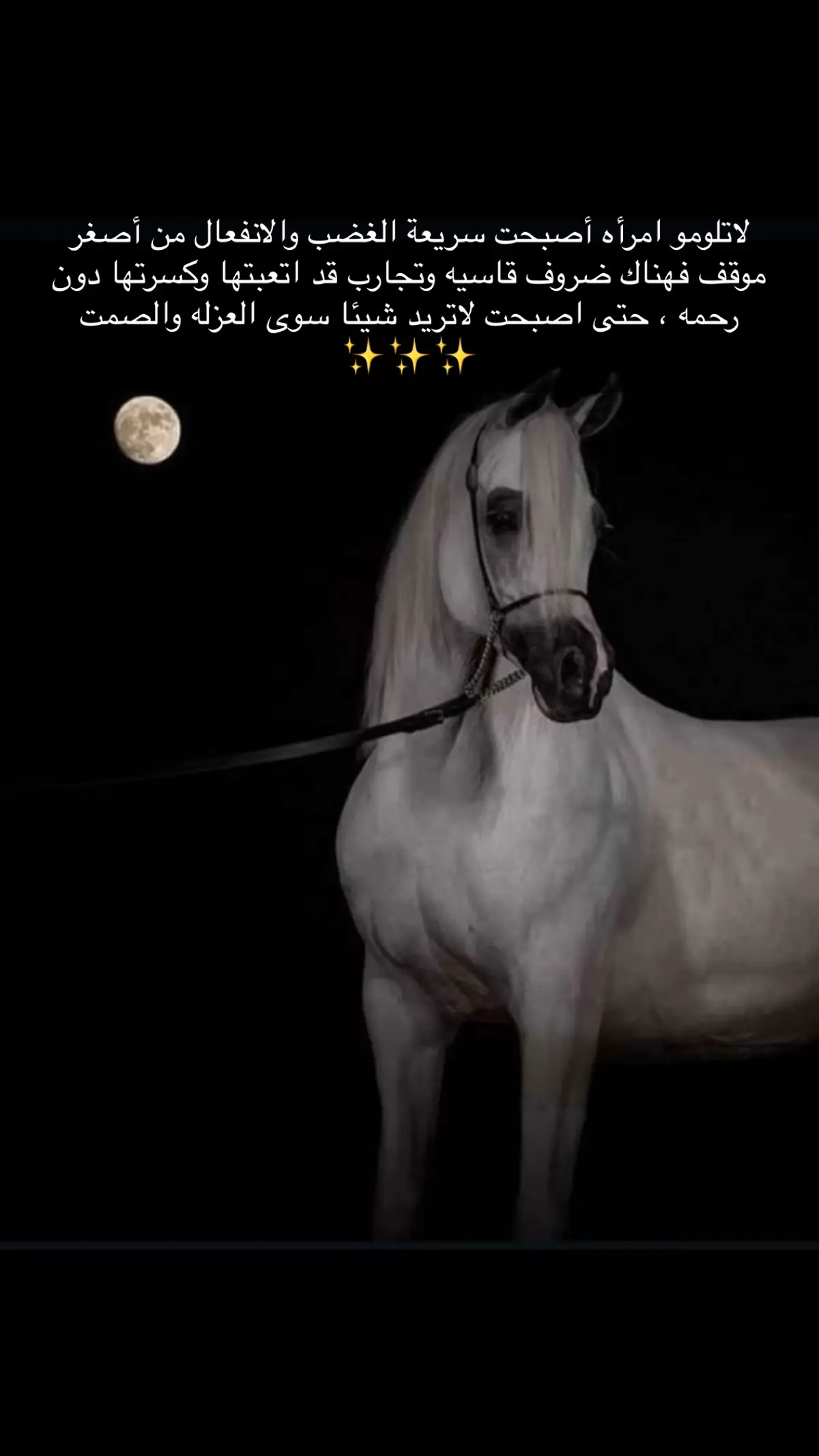 #اكسبلور 
