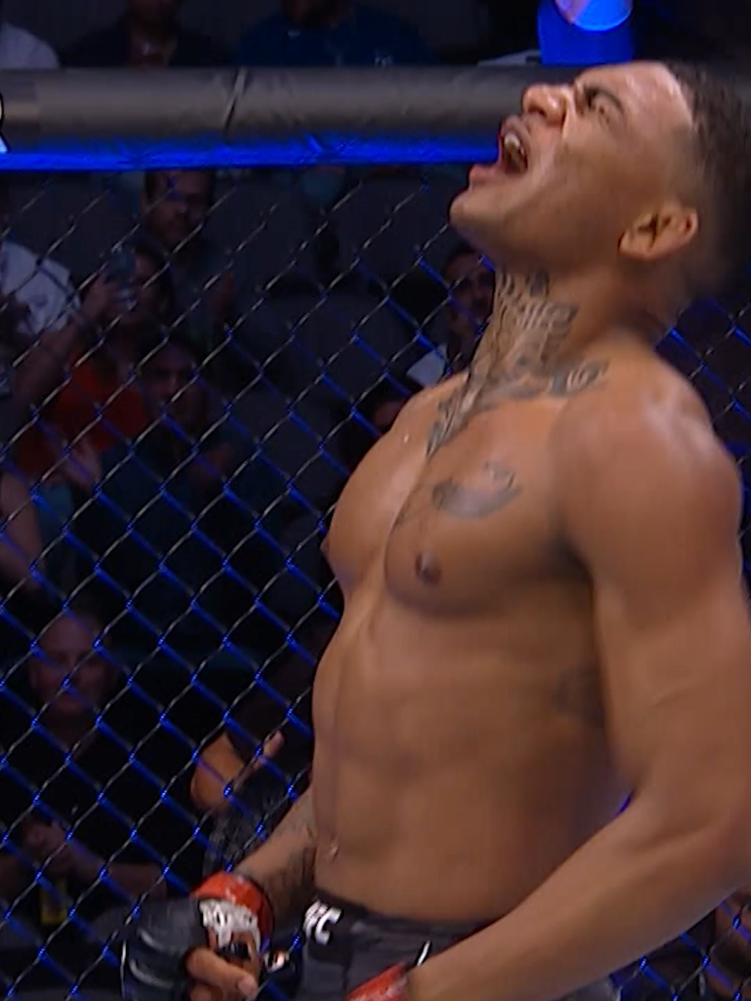 An undefeated contender 👀 Catch Michael Morales in his FIRST main event this Saturday! #UFC #mma #michaelmorales