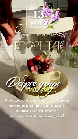 #13мая #вторник #новинки #доброеутро #новыйдень #новоеутро #хорошегодня #