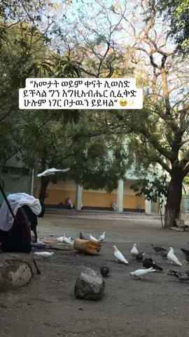 #creatorsearchinsights 🥹✨❣️ #እግዚአብሔር_ብርሃኔና_መድኀኒቴ_ነው #የእናንተገፅ🇪🇹viral #ኦርቶዶክስ⛪ተዋህዶ⛪ለዘለዓለም🙏ትኑር🙏 #🥰✨❤️‍ #ethiopian_tik_tok ##abel_mezmur_21_6 