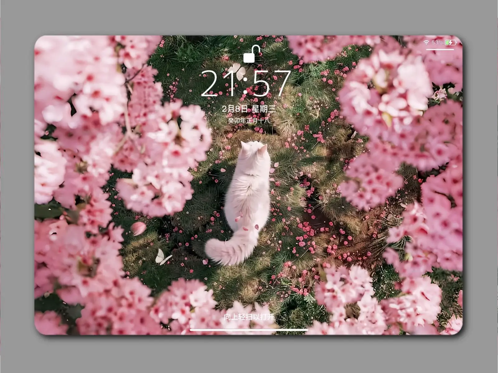 aesthetic wallpaper #laptop #wallpaper #wallpapers4k #tiktok #fyp #aesthetic #doclamoingay777 #viral 