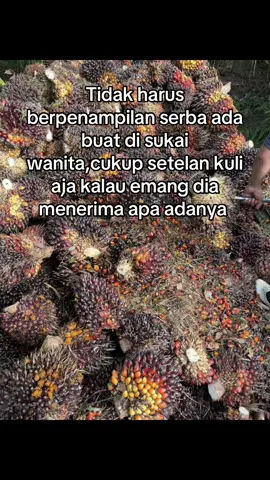 Apa ga menyala boss@whyu @AA. ASEPDELON #kulisawit #sawitontiktok #petanimuda #manensawit #sawitriau #pemuatsawit #semogafyp 