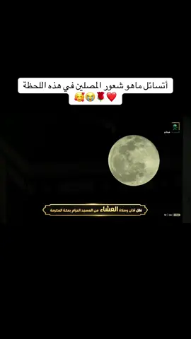سورة يونس من عشاء 15 جمادى الأولى 1442❤️ #الشيخ_ياسر_الدوسري #تلاوة_خاشعة #مكة_المكرمة #الحرم_المكي #الآسر #ياسر_الدوسري #سورة_يونس 