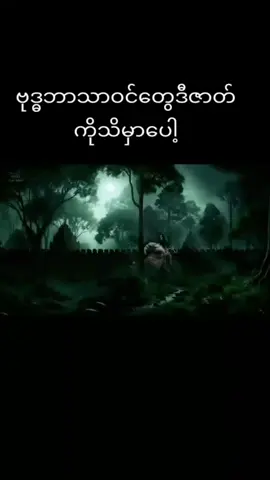 #သံသာရာဝဋ်ဆင်းရဲမှကင်းလွှတ်ပါရစေ🙏 #ပါချုပ်ဆရာတော်ဘုရာကြီး🙏🙏🙏 