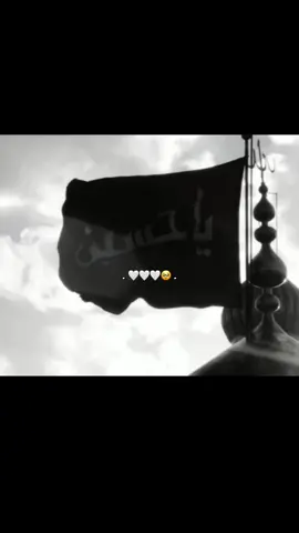 والله يا عالم احبة أحبة 🤍🥹 #fypツ #الامام_الحسين_عليه_السلام #fypツ #الامام_العباس_عليه_السلام #fypツ #اهل_البيت_عليهم_سلام #fypツ #الهم_صلي_على_محمد_وأل_محمد #جديده_في_تيك_توك #اكسبلورexplo 