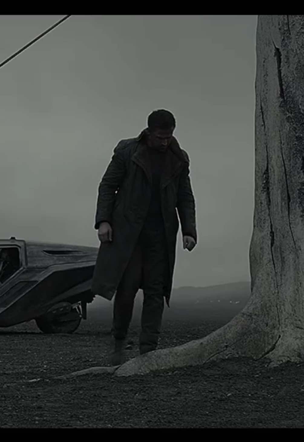 #bladerunner2049 #ryangosling #2yxw #cas #movie #bladerunner2049edit #ryangoslingedit #fyp #viral #foryou 