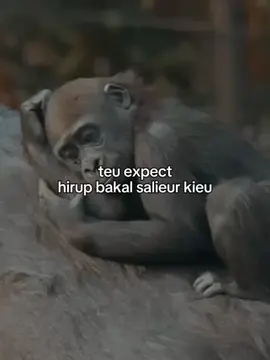 #4u 