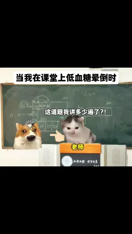 #猫咪 #2025 #猫meme #cat #猫meme小剧场 