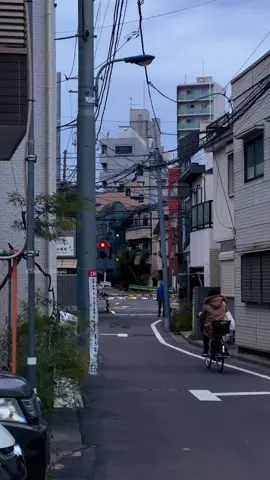 Strolling in Tokyo at dusk☁️🚃 #tokyo #japan #日本 #vibes #cinematic #street #viral #foryou #animelover
