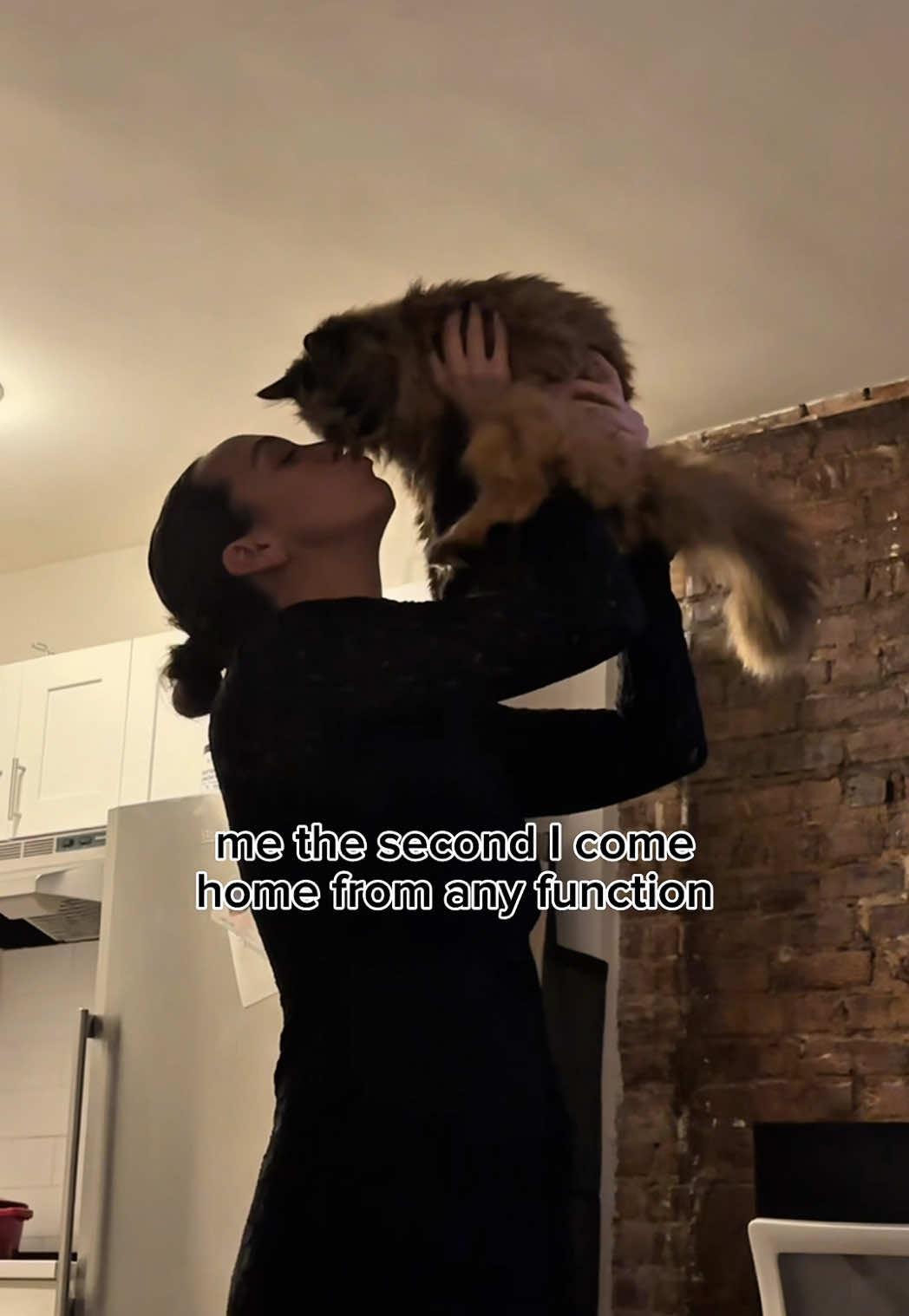 this 5 lb girl is my entire life the things I’d do for this cat I think about her from the second I leave my apartment until I get home anyone else or ??? #cat #catmom #cattok #pets #PetsOfTikTok #relatable #fyp 