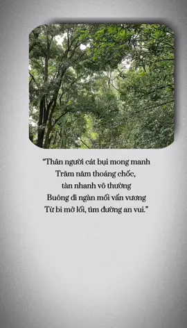“Thân người cát bụi mong manh Trăm năm thoáng chốc, tàn nhanh vô thường Buông đi ngàn mối vấn vương Từ bi mở lối, tìm đường an vui.”