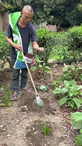 #fyp 