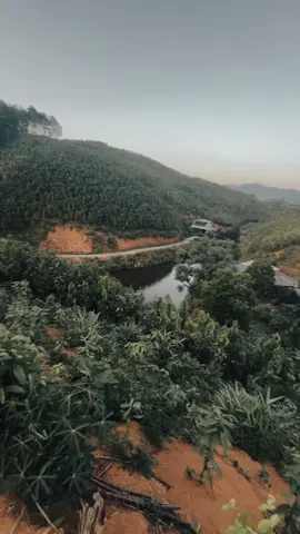 Mình đang mắc kẹt 2 sự lựa chọn,tiếp tục đi làm hay ở nhà tự nghĩ ra làm🥲#tâmtrang😌☘️ 