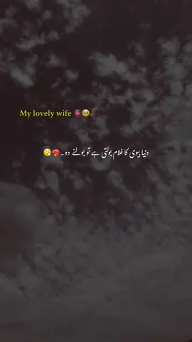 𝐬𝐢𝐫 𝐩𝐚 𝐛𝐡𝐭𝐚 𝐤 𝐫𝐤𝐡𝐨 𝐠𝐚 🫶🏻😍. #foryou #foryoupage #poetry #unfreezaccount #tiktoksolve 