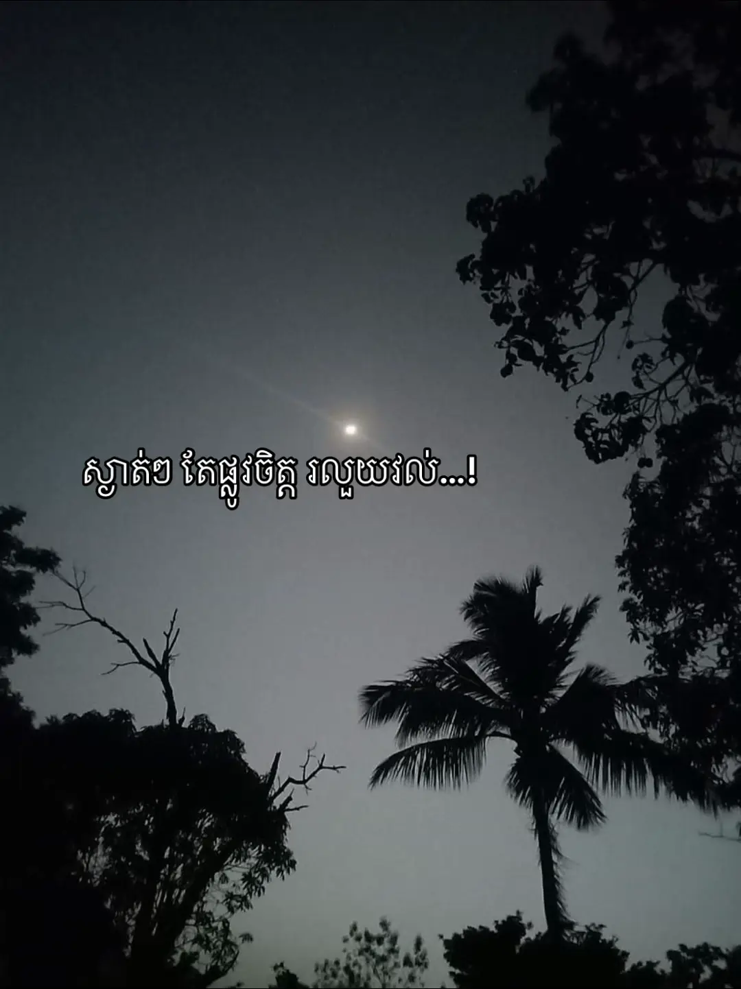 ស្ងាត់ៗ តែផ្លូវចិត្ត រលួយវល់…!#fypシ゚ 