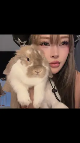 กระตุ่ยอ้วมๆ