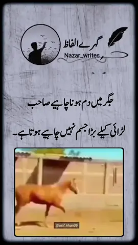 There should be tail in the liver, sir, you don't need a big body for fighting. ✍️🙅🥰🙆🫣🤫 #シ゚viral☆♡💯foryou🥺シ゚viral #fypシ゚viral🖤tiktok #anfreezemyacount #シ゚viral☆♡💯foryou🥺シ゚viral #fypシ゚viral🖤tiktok #verilvedio #anfreezemyacount 