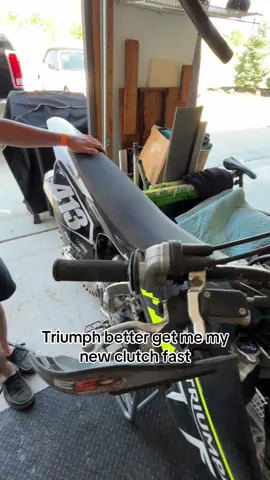 trumpet down